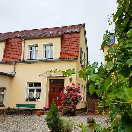 Ferienhaus Muehlberg Villa Radebeul Exterior photo